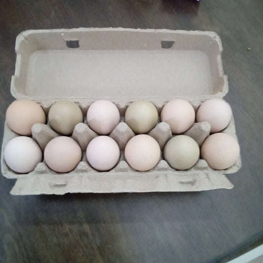1 Dozen Yard Eggs